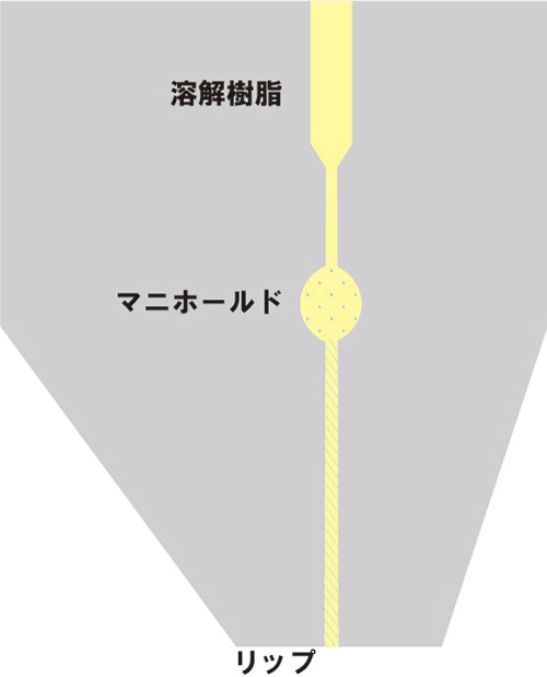 tダイ押出 フィルム 断面図